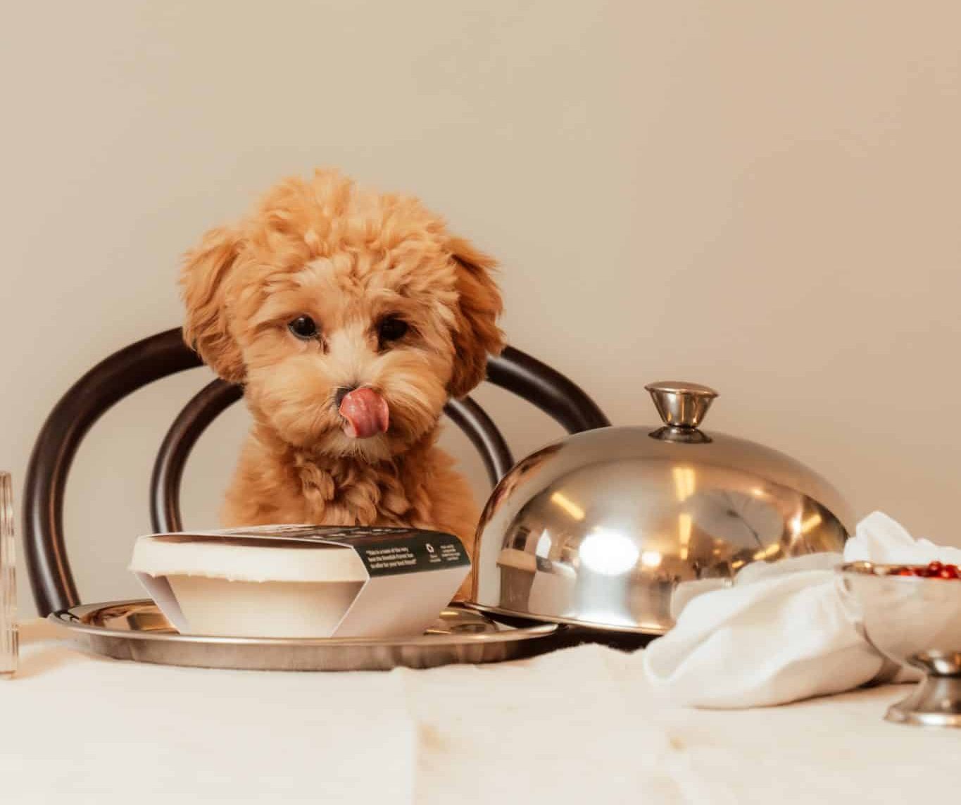 Maggie sitter vid ett bord med en hundmåltid från Frank & Maggie´s framför