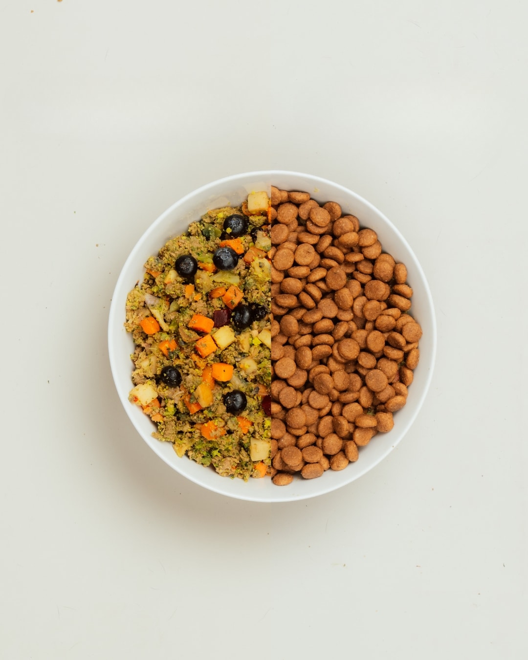 Byta hundmat utan magproblem – Tips för en lyckad övergång